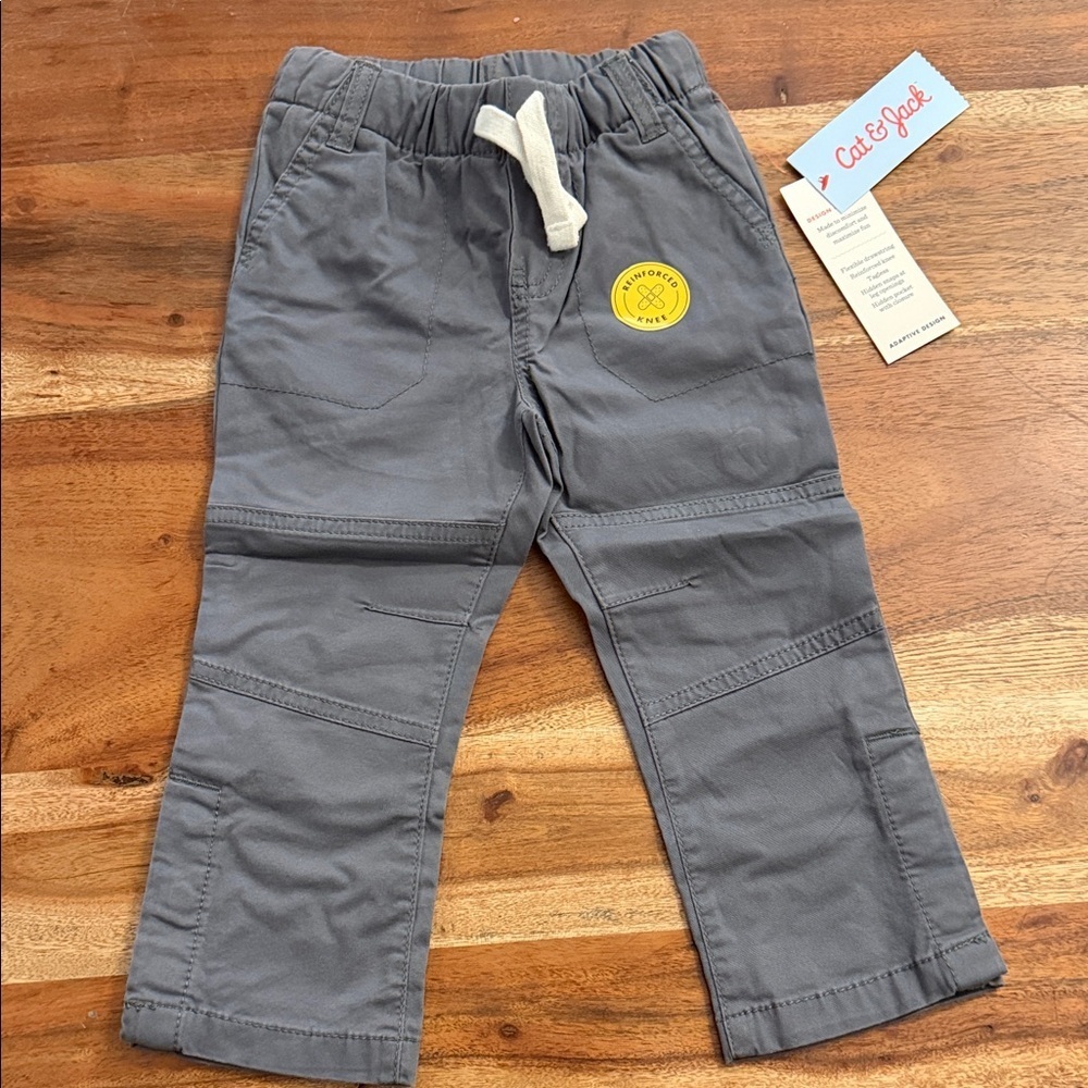 Cat & Jack Adaptive Design Gray Pants, 2T